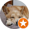 しん profile picture